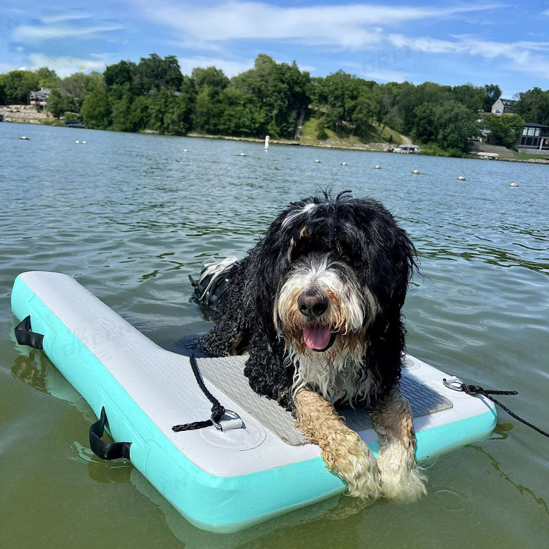 Floating Water Ramp Inflatable Climbing Dog Ladder For Swimming Pool BARRYDR013