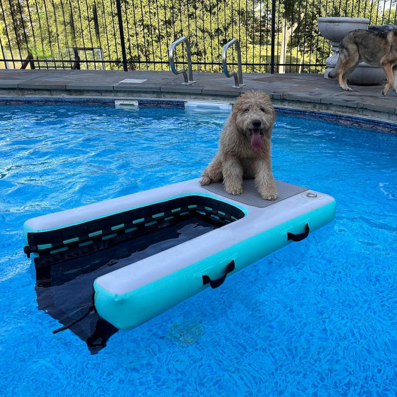 Floating Water Ramp Inflatable Climbing Dog Ladder For Swimming Pool BARRYDR013