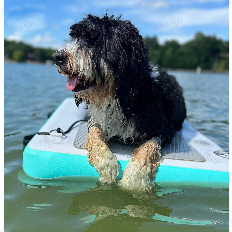 Floating Water Ramp Inflatable Climbing Dog Ladder For Swimming Pool BARRYDR013