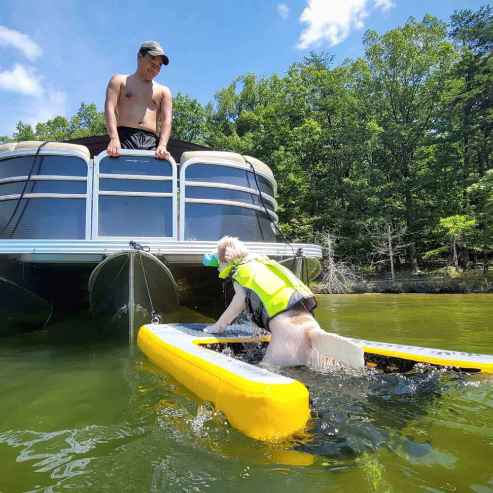 Floating Dog Water Ramp Pet Inflatable Swimming Pool Dog Ladder BARRYDR06