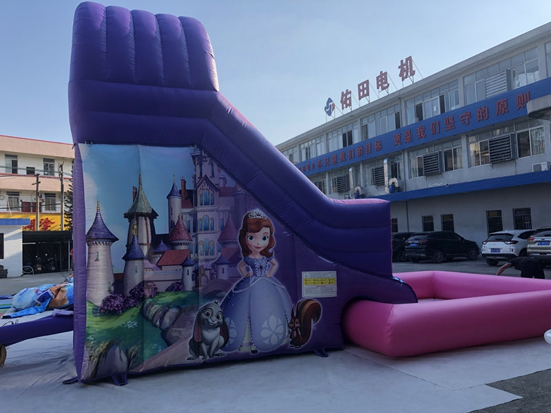 Dreamland Water Park Princess Inflatable Water Park With Pool BARRYLWP09