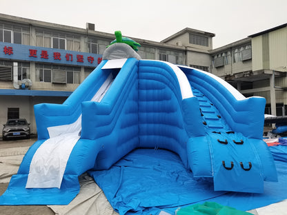 Water Inflatable World Turtle Big Backyard Inflatable Water Park BARRYLWP023