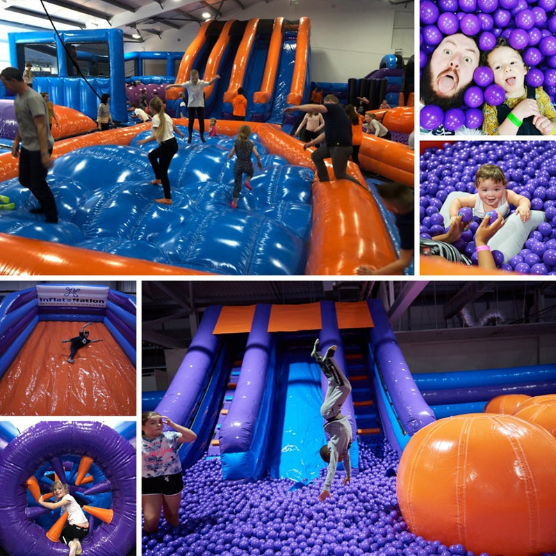 Commercial Giant Purple Bounce Playground Inflatable Theme Park BARRYTP06